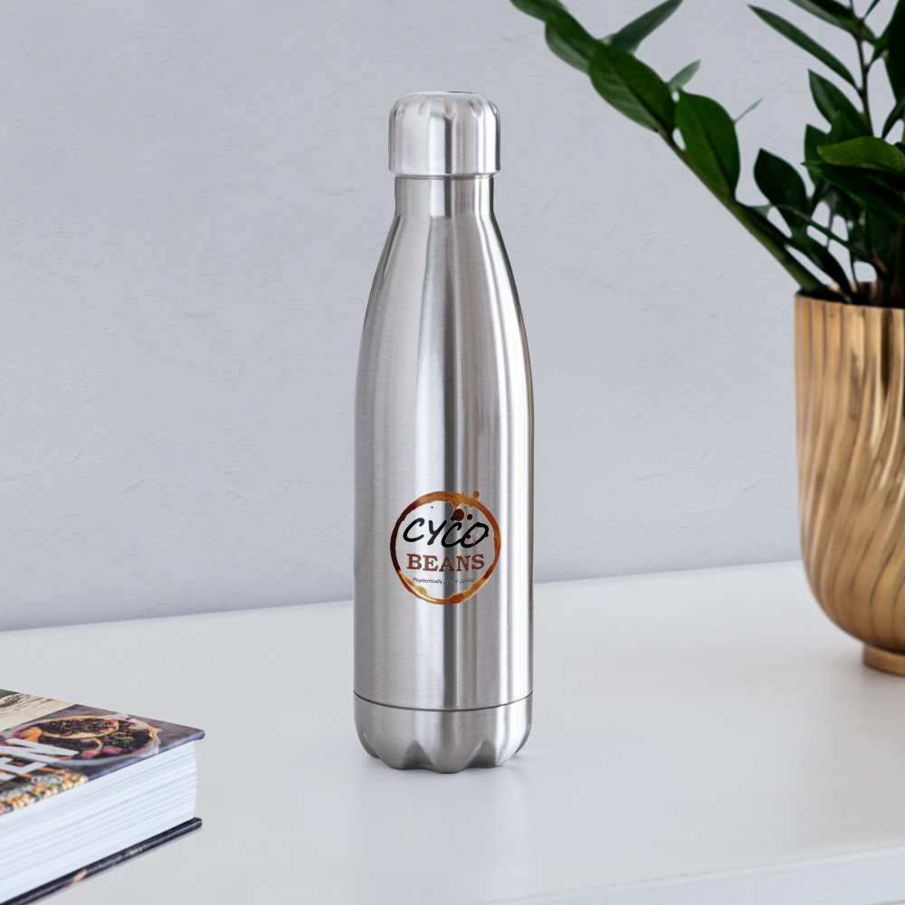 Insulated Stainless Steel Water Bottle - silver